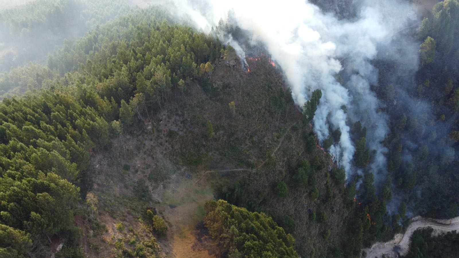 2 400 hectáreas afectadas por incendios forestales en Cajamarca